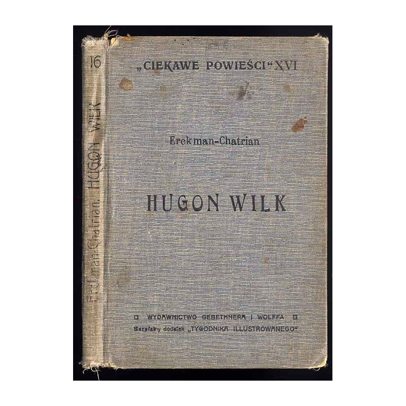 Hugon Wilk. Powieść