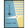 Polanica Zdrój i okolice