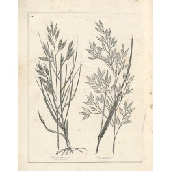 Laying down Land to Permanent Pasture and the improvement of old grass lands. [tytuł okładkowy: Permanent Pastures of the firm o