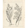 Laying down Land to Permanent Pasture and the improvement of old grass lands. [tytuł okładkowy: Permanent Pastures of the firm o