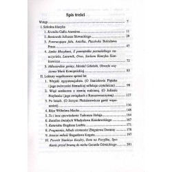 O szkolnej klasyce, lekturach współczesnych sprzed lat i książkach dla młodzieży. Szkice literackie i krytyczne