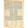 Monika. Zeitschrift für kath. Mütter u. Hausfrauen. 67. Jahrgang (1935). Nr. 1-52