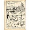 Monika. Zeitschrift für kath. Mütter u. Hausfrauen. 67. Jahrgang (1935). Nr. 1-52