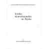 Sztuka nieprofesjonalna na Śląsku