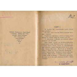 Nellimore. Lot nad Atlantykiem. Powieść lotniczo-radjowa