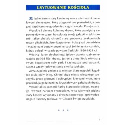 Kościół Wniebowzięcia Najświętszej Maryi Panny w Gliwicach