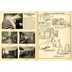 Oberschlesien im Bild. Wöchentliche Unterhaltungsbeilage des oberschlesischen Wanderers. (1929). Nr 5 (1.2.1929) / Nysa / Gliwic