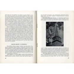 Przegląd Fotograficzny. Miesięcznik ilustrowany. Organ Związku Polskich Towarzystw Fotograficznych, Polskiego T-wa Fotograficzne