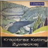 Krajobraz Kotliny Żywieckiej