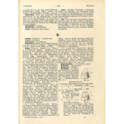 Illustriertes Forst-Wörterbuch