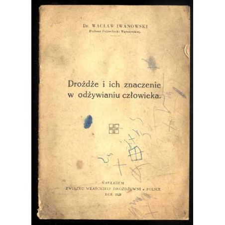Drożdże i ich znaczenie w odżywianiu człowieka
