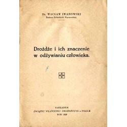 Drożdże i ich znaczenie w odżywianiu człowieka