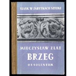 Brzeg