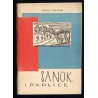 Sanok i okolice
