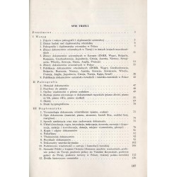 Zarys dyplomatyki osmańsko-tureckiej