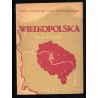 Wielkopolska. Przewodnik turystyczny
