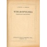 Wielkopolska. Przewodnik turystyczny