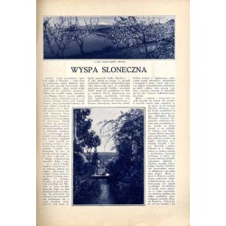 Tęcza. Ilustrowane pismo tygodniowe. R.3 (1929). Z. 13 (30 marca 1929) / Edmund Bartłomiejczyk / drzeworyt Władysław Lam: Głowa