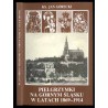 Pielgrzymki na Górnym Śląsku w latach 1869-1914