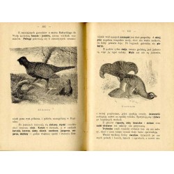 Opisanie Królestwa Polskiego. Cz.1: Przyroda kraju