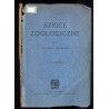 Szkice zoologiczne