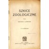Szkice zoologiczne