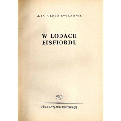 W lodach Eisfiordu