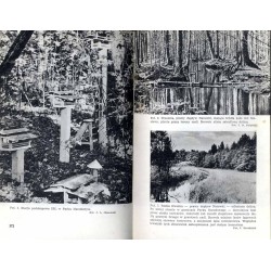 Park Narodowy w Puszczy Białowieskiej. Praca zbiorowa