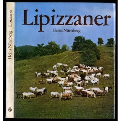 Lipizzaner