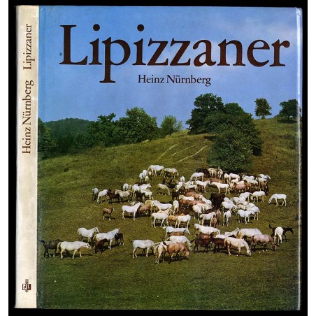 Lipizzaner