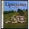 Lipizzaner