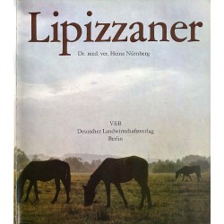 Lipizzaner