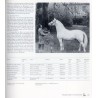Lipizzaner