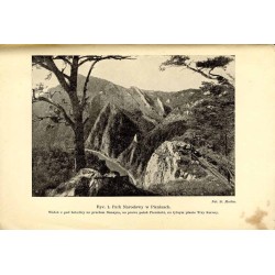 Nasz stosunek do przyrody i jej ochrony