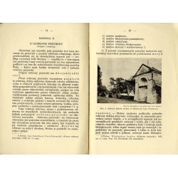 Nasz stosunek do przyrody i jej ochrony