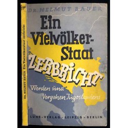 Ein Vielvölkerstaat zerbricht. Werden und Vergehen Jugoslawiens