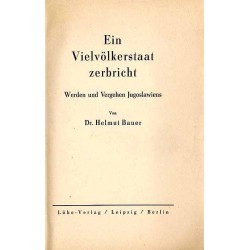 Ein Vielvölkerstaat zerbricht. Werden und Vergehen Jugoslawiens