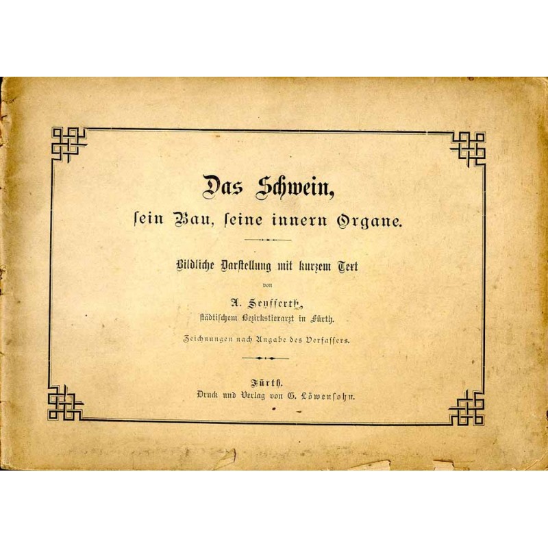 Das Schwein, sein Bau, seine innern Organe. Bildliche Darstellung mit kurzem Text