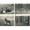 Was da kreucht und fleugt. Ein Tierbuch