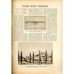 Tęcza. Ilustrowane pismo tygodniowe. R.3 (1929). Z. 27 (6 lipca 1929) / Zbigniew Pronaszko / Poznań PWK / Bristol Tadeusz Kościu