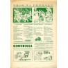 Zbójnicki. Jedyne w Europie góralskie pismo satyryczne. 1990. Nr 4 (1990)