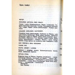 Sztuka Ameryki II. Twórczość Indian z Ameryki Środkowej i Antyli