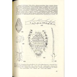 Klucze do oznaczania owadów Polski. Cz.17: Pluskwiaki równoskrzydłe - Homoptera. Z.5b: Mszyce - Aphidodea, Chaitophoridae