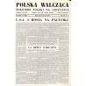 Polska Walcząca - Żołnierz Polski na Obczyźnie. Fighting Poland. Weekly for the Polish Forces. R.7 (1945). Nr 43 (3 listopada 19