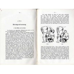 Rationelle Milchviehhaltung