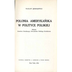 Polonia amerykańska w polityce polskiej. Historia Komitetu Narodowego Amerykanów Polskiego Pochodzenia