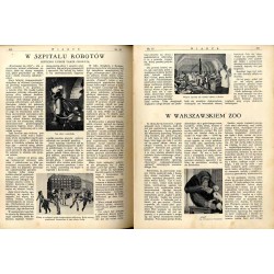 Wiarus. Organ Korpusu Podoficerów Zawodowych Wojska Lądowego, Marynarki Wojennej i Korpusu Ochrony Pogranicza. R.4 (1933). Nr 15