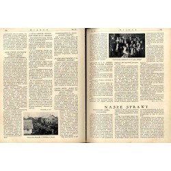 Wiarus. Organ Korpusu Podoficerów Zawodowych Wojska Lądowego, Marynarki Wojennej i Korpusu Ochrony Pogranicza. R.4 (1933). Nr 15