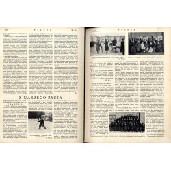 Wiarus. Organ Korpusu Podoficerów Zawodowych Wojska Lądowego, Marynarki Wojennej i Korpusu Ochrony Pogranicza. R.4 (1933). Nr 15