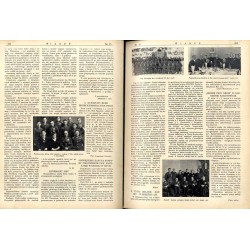 Wiarus. Organ Korpusu Podoficerów Zawodowych Wojska Lądowego, Marynarki Wojennej i Korpusu Ochrony Pogranicza. R.4 (1933). Nr 15